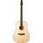 Seagull Artist Mosaic Anthem Electro Acoustic Guitar Front View