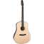 Seagull Artist Mosaic Anthem Electro Acoustic Guitar Front View