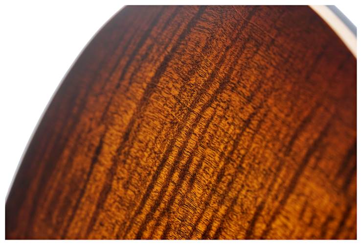 Suhr Standard Plus Bengal Burst Pau Ferro Fingerboard #85673 Suhr Standard Plus Bengal Burst Pau Ferro Fingerboard #85673
