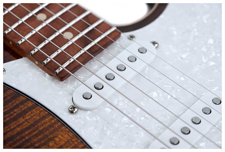 Suhr Standard Plus Bengal Burst Pau Ferro Fingerboard #85673 Suhr Standard Plus Bengal Burst Pau Ferro Fingerboard #85673
