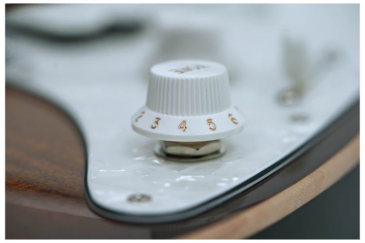 Suhr Standard Plus Bengal Burst Pau Ferro Fingerboard #87611 Suhr Standard Plus Bengal Burst Pau Ferro Fingerboard #87611