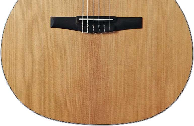 Taylor 214ce-N Grand Auditorium #2201124390 Taylor 214ce-N Grand Auditorium #2201124390