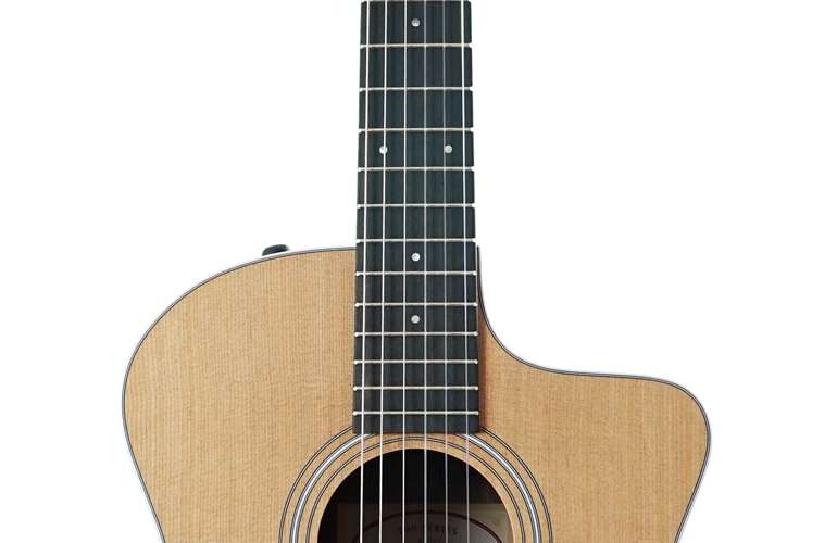 Taylor 214ce-N Grand Auditorium #2201124390 Taylor 214ce-N Grand Auditorium #2201124390