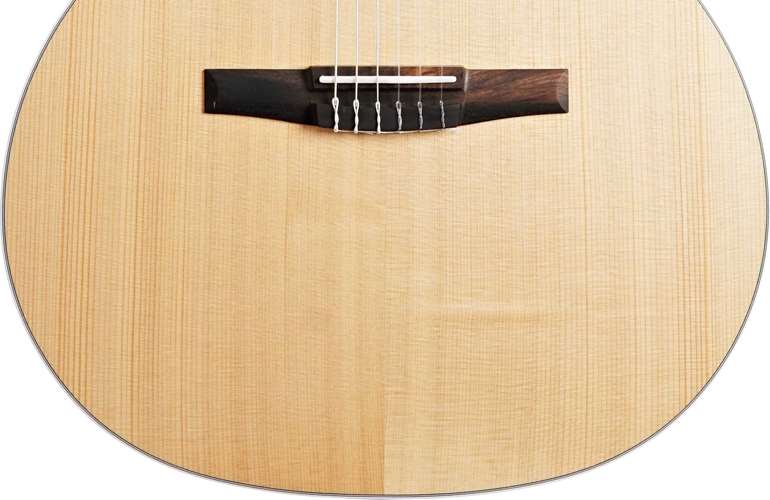 Taylor 214ce-N Grand Auditorium Taylor 214ce-N Grand Auditorium