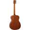 Tanglewood TS3 Folk Spruce Mahogany Back View