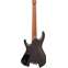Ibanez Q Series 7 String Pale Moon Ebony Top Natural Flat QX527PE Back View