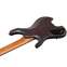 Ibanez Q Series 7 String Pale Moon Ebony Top Natural Flat QX527PE Front View