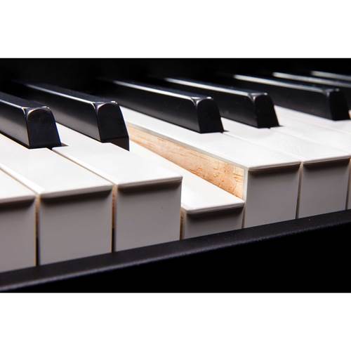 Roland FANTOM-8-EX Synth Roland FANTOM-8-EX Synth