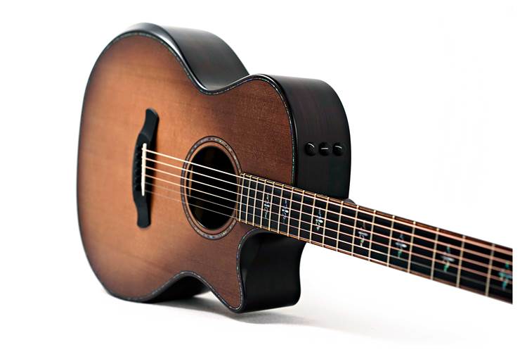 Taylor Builder's Edition 914ce Grand Auditorium Wild Honey Burst #1203144078 Taylor Builder's Edition 914ce Grand Auditorium Wild Honey Burst #1203144078