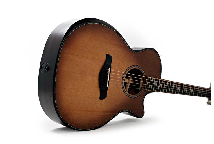 Taylor Builder's Edition 914ce Grand Auditorium Wild Honey Burst #1203144078 Taylor Builder's Edition 914ce Grand Auditorium Wild Honey Burst #1203144078