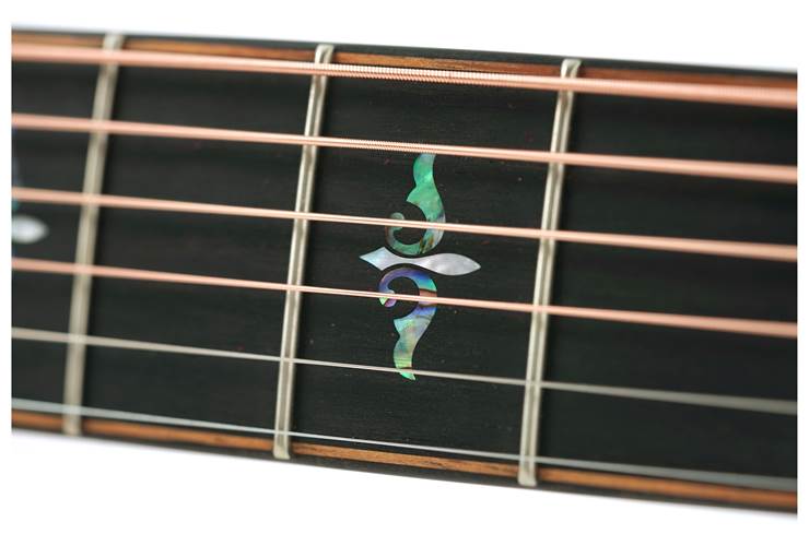 Taylor Builder's Edition 914ce Grand Auditorium Natural Taylor Builder's Edition 914ce Grand Auditorium Natural