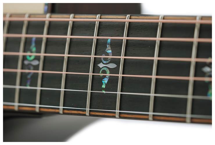 Taylor Builder's Edition 914ce Grand Auditorium Natural Taylor Builder's Edition 914ce Grand Auditorium Natural