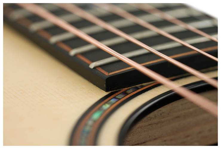 Taylor Builder's Edition 914ce Grand Auditorium Natural Taylor Builder's Edition 914ce Grand Auditorium Natural
