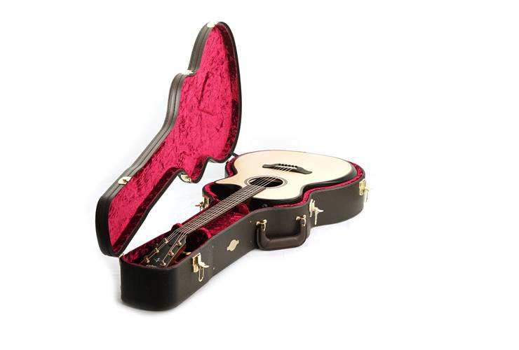 Taylor Builder's Edition 914ce Grand Auditorium Natural Taylor Builder's Edition 914ce Grand Auditorium Natural
