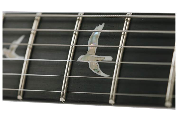 PRS Custom 24 10 Top Floyd Charcoal Cherry Burst PRS Custom 24 10 Top Floyd Charcoal Cherry Burst