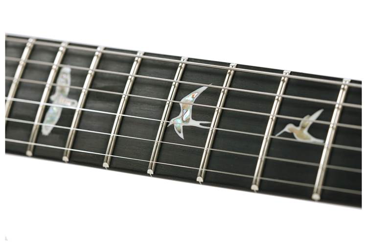 PRS Custom 24 10 Top Floyd Charcoal Cherry Burst PRS Custom 24 10 Top Floyd Charcoal Cherry Burst
