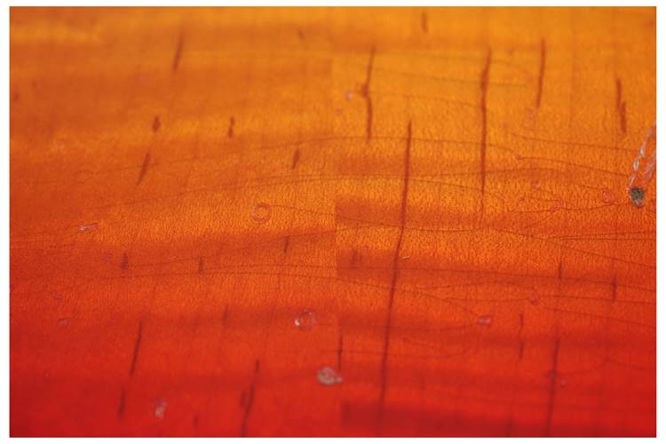 Gibson Custom Shop 60s Les Paul Standard M2M Tomato Soup Burst Murphy Lab Heavy Aged #04327 Gibson Custom Shop 60s Les Paul Standard M2M Tomato Soup Burst Murphy Lab Heavy Aged #04327