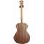 Taylor Academy 12e Grand Concert Walnut Back View