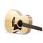 Taylor Academy 12e Grand Concert Walnut Front View