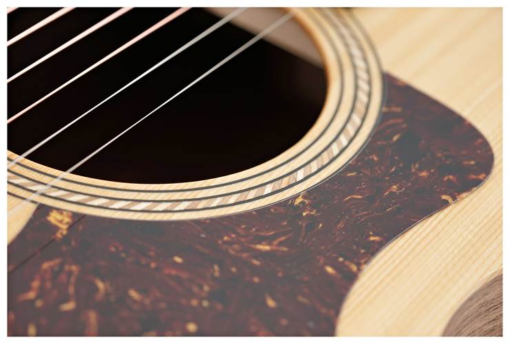 Taylor Academy 12e Grand Concert Walnut Taylor Academy 12e Grand Concert Walnut