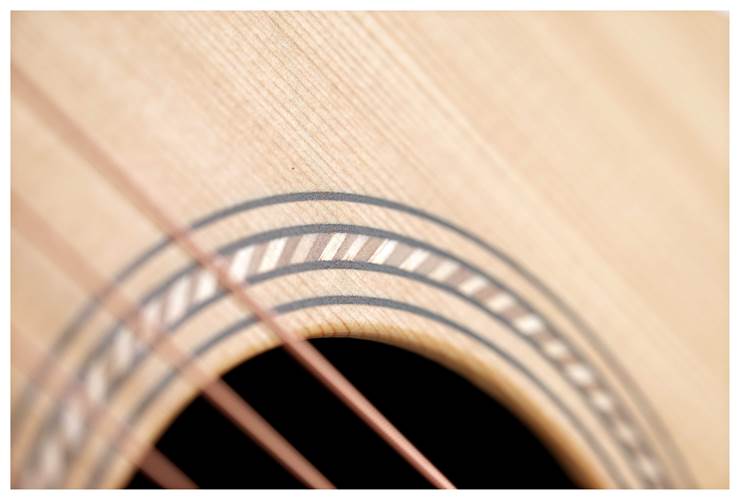 Taylor Academy 12e Grand Concert Walnut Taylor Academy 12e Grand Concert Walnut