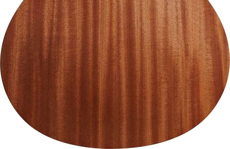 Taylor GS Mini Sapele Taylor GS Mini Sapele