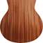 Taylor GS Mini Sapele