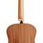 Taylor GS Mini Sapele