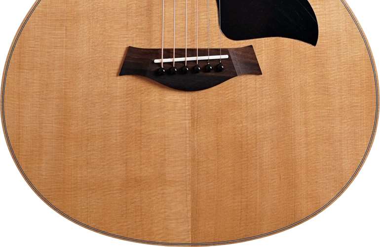 Taylor GS Mini Sapele Taylor GS Mini Sapele