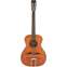 Vintage Fret Dancer Electro Acoustic 12-String Front View