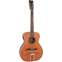 Vintage Fret Dancer Electro Acoustic 12-String Front View