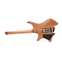 Strandberg Prog NX 6 Plini Edition Front View