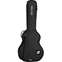 Ritter 28RGD2SA/ANT Davos 335 Style Guitar Bag Anthracite Front View
