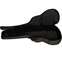 Ritter 28RGD2SA/ANT Davos 335 Style Guitar Bag Anthracite Front View