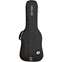Ritter Bern Bass Guitar Bag Anthracite Front View