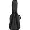 Ritter Bern Bass Guitar Bag Anthracite Front View