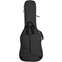 Ritter Bern Bass Guitar Bag Anthracite Front View