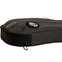 Ritter Bern Bass Guitar Bag Anthracite Front View