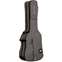 Ritter Carouge Double Electric Bass Guitar Bag Elephant Grey Front View