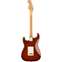 Fender Player II Stratocaster HSS Transparent Mocha Burst Maple Fingerboard Back View