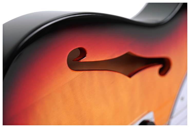 Squier Affinity Series Telecaster Thinline White Pickguard 3-Colour Sunburst Maple Fingerboard Squier Affinity Series Telecaster Thinline White Pickguard 3-Colour Sunburst Maple Fingerboard