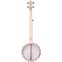 Deering Goodtime 5-String Openback Banjo Back View