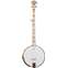 Deering Goodtime 5-String Openback Banjo Front View
