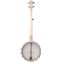 Deering Goodtime Deco Americana 5-String Banjo Back View