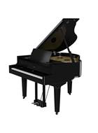 Roland GP-9M-PE Polished Ebony Luxury Grand with Moving Keys & Flagship Technology