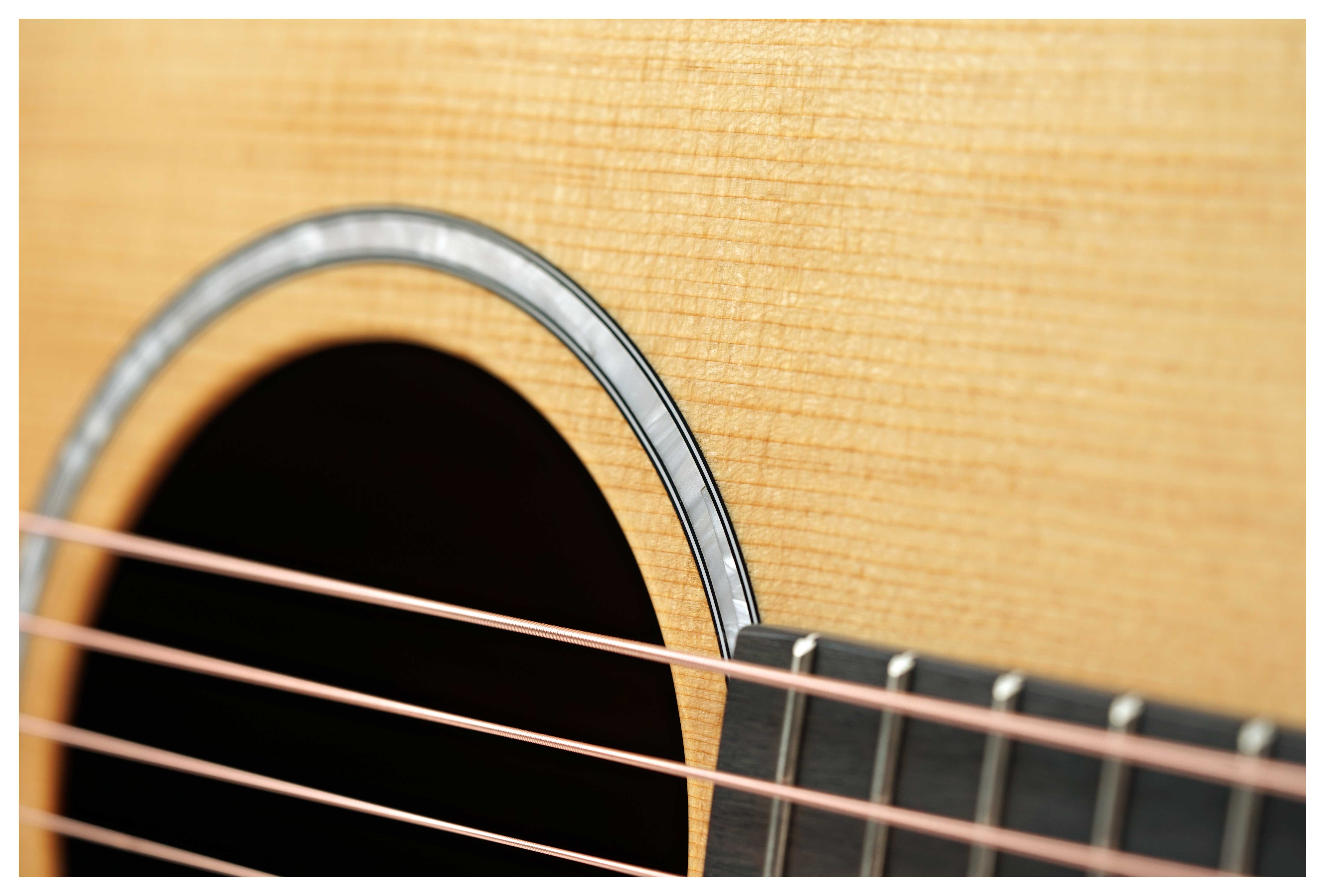 Taylor 214ce Plus Special Edition (Nearly New)