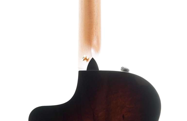 Taylor 222ce-K Deluxe Grand Concert Taylor 222ce-K Deluxe Grand Concert