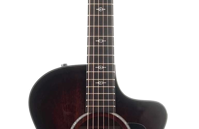 Taylor 222ce-K Deluxe Grand Concert Taylor 222ce-K Deluxe Grand Concert