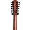 Taylor 362e Grand Concert