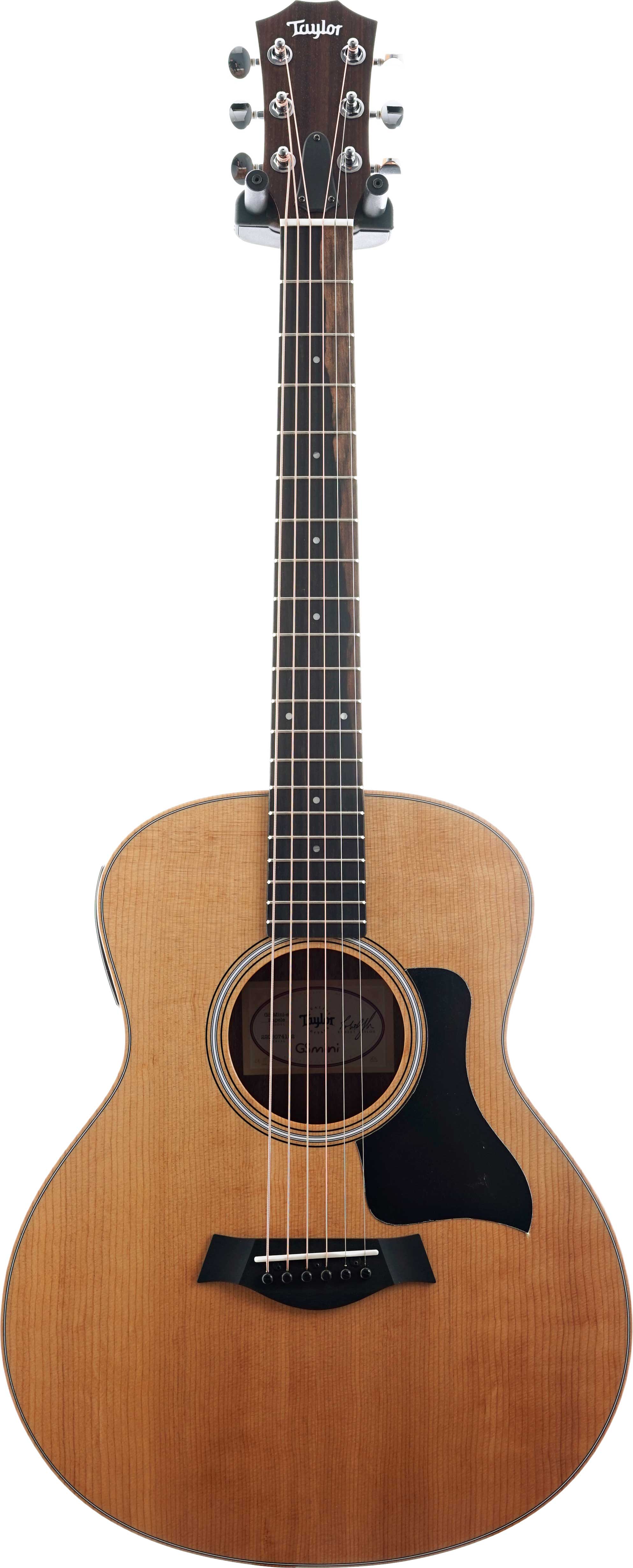Taylor GS Mini-e Sapele